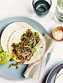 Tortilla with strips of beef, green chilis, tomatillos and cucumber salsa