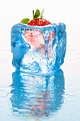 Strawberries in a blue block of ice