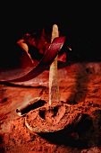 Alter Holzlöffel mit Kakaopulver und herzförmigem Abdruck