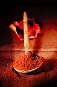 Cocoa powder on an old wooden spoon