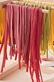 Colourful tagliatelle hanging to dry