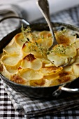 Potatoes au gratin with thyme