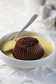 Chocolate pudding in vanilla cream