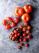 Verschiedene Tomaten (Draufsicht)