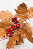 Brown oak leaves and rosehips on rustic linen