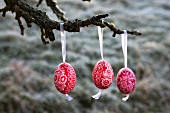 Three painted Easter eggs hanging on branch of apple tree