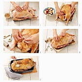 Stuffed goose being made