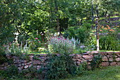 Rustikale Steinmauer mit blühenden Gartenblumen