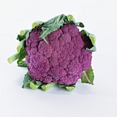Purple cauliflower (brassica oleracea var. botrytis)