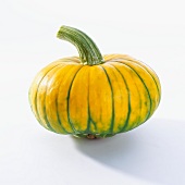 A pumpkin (cucurbita maxima)