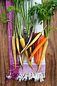 Yellow carrots (Pfälzer Loberricher), purple carroty (anthonia) and orange carrots