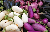 Verschiedene Auberginen auf dem Pike Place Markt, Seattle, USA