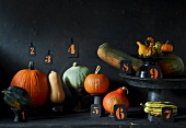Various types of pumpkins with number labels