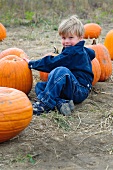 A little boy sitting amongst pumpkins