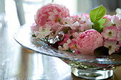 Glass dish of pink roses on wooden table (English roses, shrub roses)