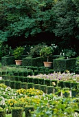 English country manor gardens with flower beds and topiary hedges