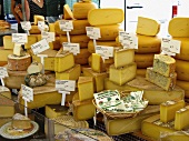 Viele verschiedene Käsesorten im Laden