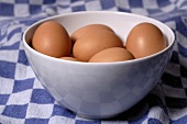 Mehrere braune Eier in einer Schale