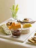 Various types of cheeses, chutney and crackers