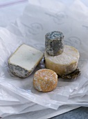 Four different types of goat's cheese