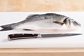 A bass and a filleting knife