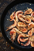 Deep Water Gulf Prawns Sauteing in a Cast Iron Skillet; Outside