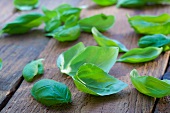 Basil leaves on a wooden surface