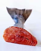 Fresh salmon, halved