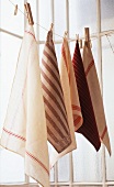 Various tea towels on a washing line