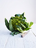 A head of romanesco broccoli