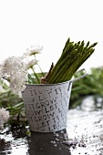 Thai asparagus and pincushion flowers in a small bucket