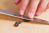 Juniper berries being crushed with the back of a knife