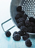 Fresh blackberries in a colander