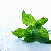 Fresh mint