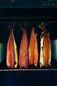 Smoked salmon fillets in a smoking chamber