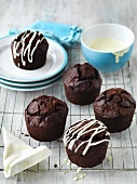 Chocolate muffins decorated with strips of icing sugar