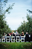 People Eating a Dinner Set Up in an Apple Orchard