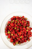 Large White Bowl of Fresh Strawberries; From Above