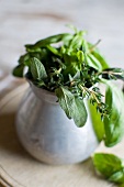 Sprigs of various herbs in a vase