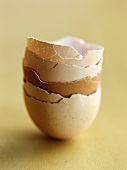A stack of empty egg shells