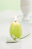 Easter egg with snowdrop and egg-shaped candle