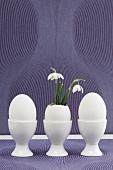 Easter eggs (one with snowdrops) in egg cups