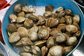 Fresh Middle Neck Clams in a Bucket of Ice at a Market
