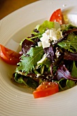 Salad with Mixed Organic Baby Greens, Tomatoes and Cheese