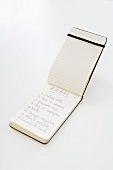 A shopping list written in a notebook