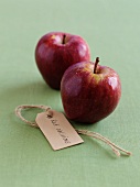Zwei Red Delicious Äpfel mit Etikett