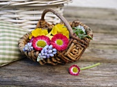 Small basket of spring flowers