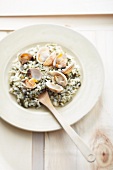 Sorrel risotto with venus mussels