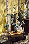 Gestalteter Garten mit Bonsai-Bäumen und Buddha-Skulptur