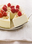 Slow cooker cheesecake with fresh raspberries